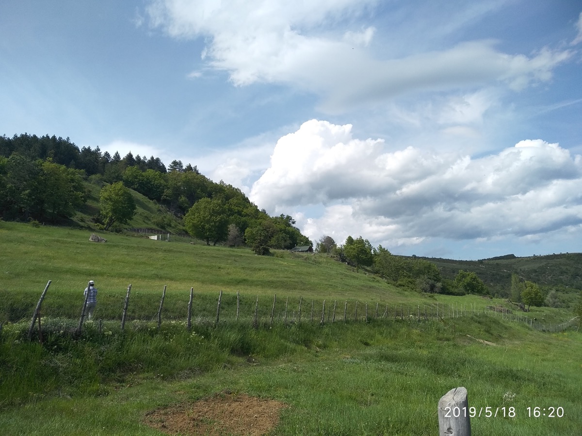 true-cheese-study-01