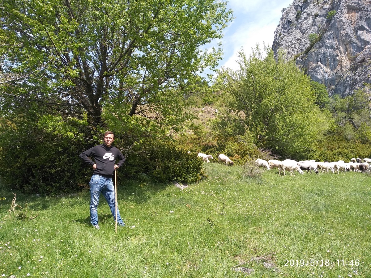 true-cheese-study-02