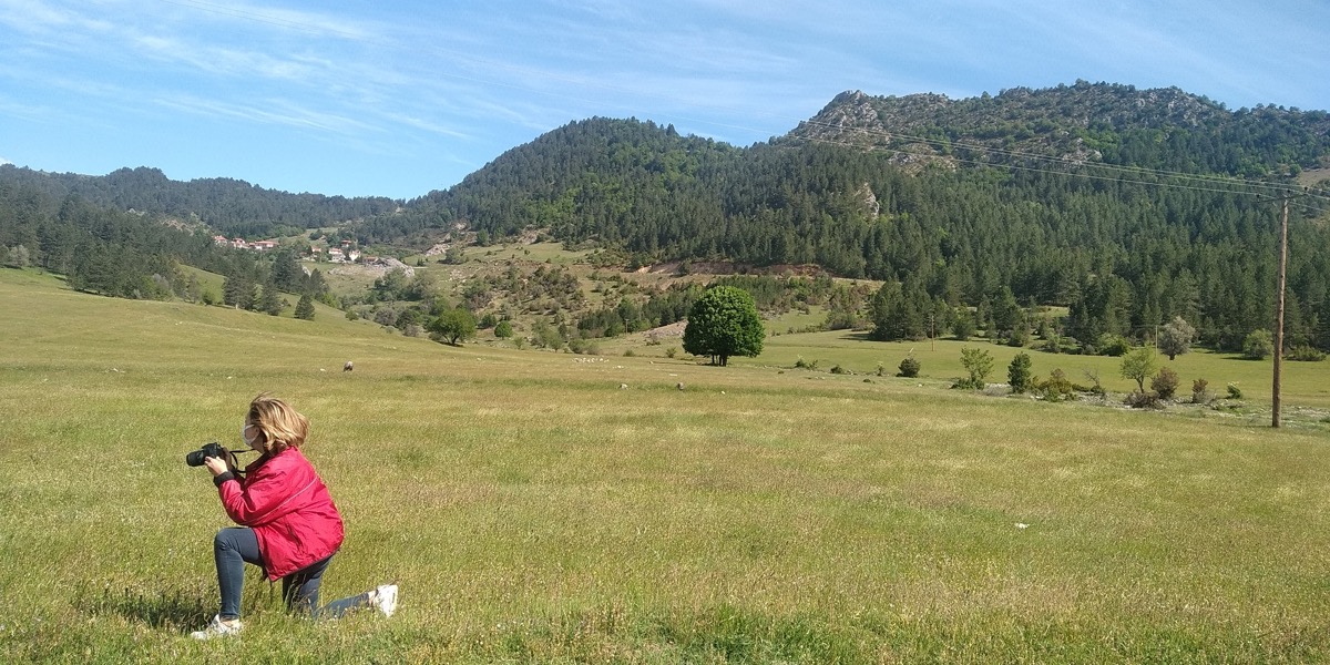 true-cheese-study-05