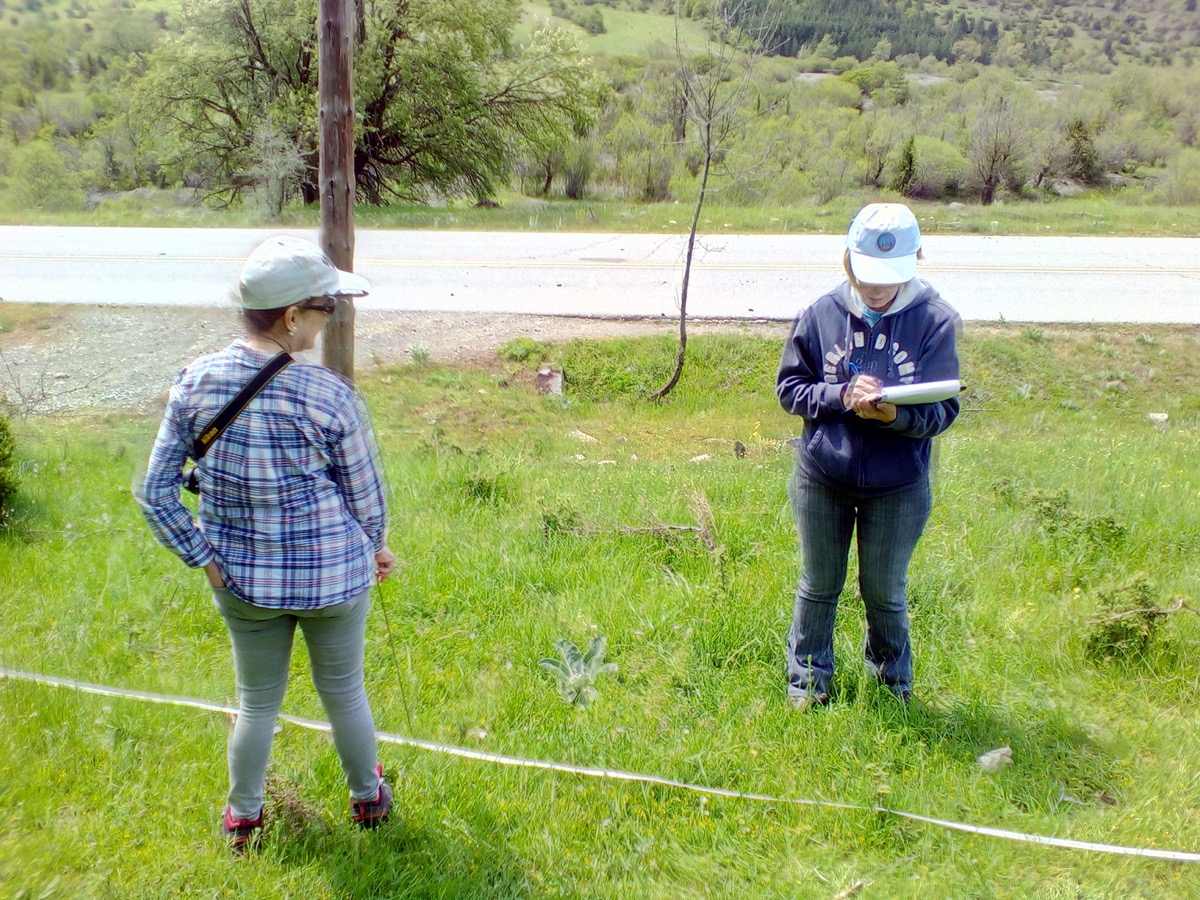 true-cheese-study-06