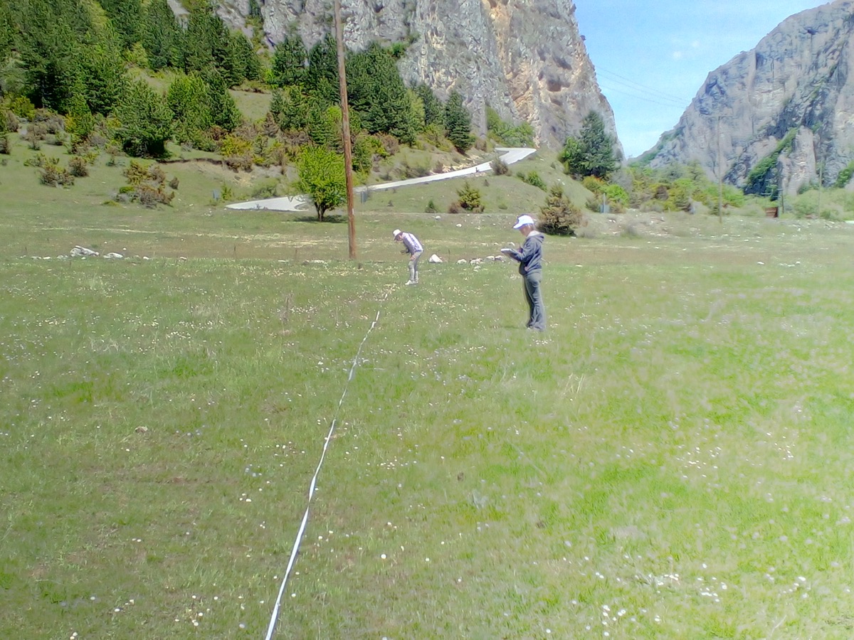 true-cheese-study-07