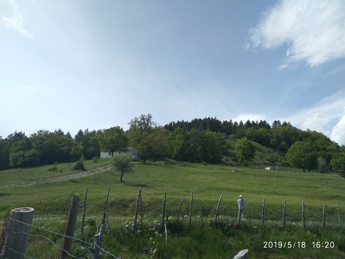 true-cheese-study-08